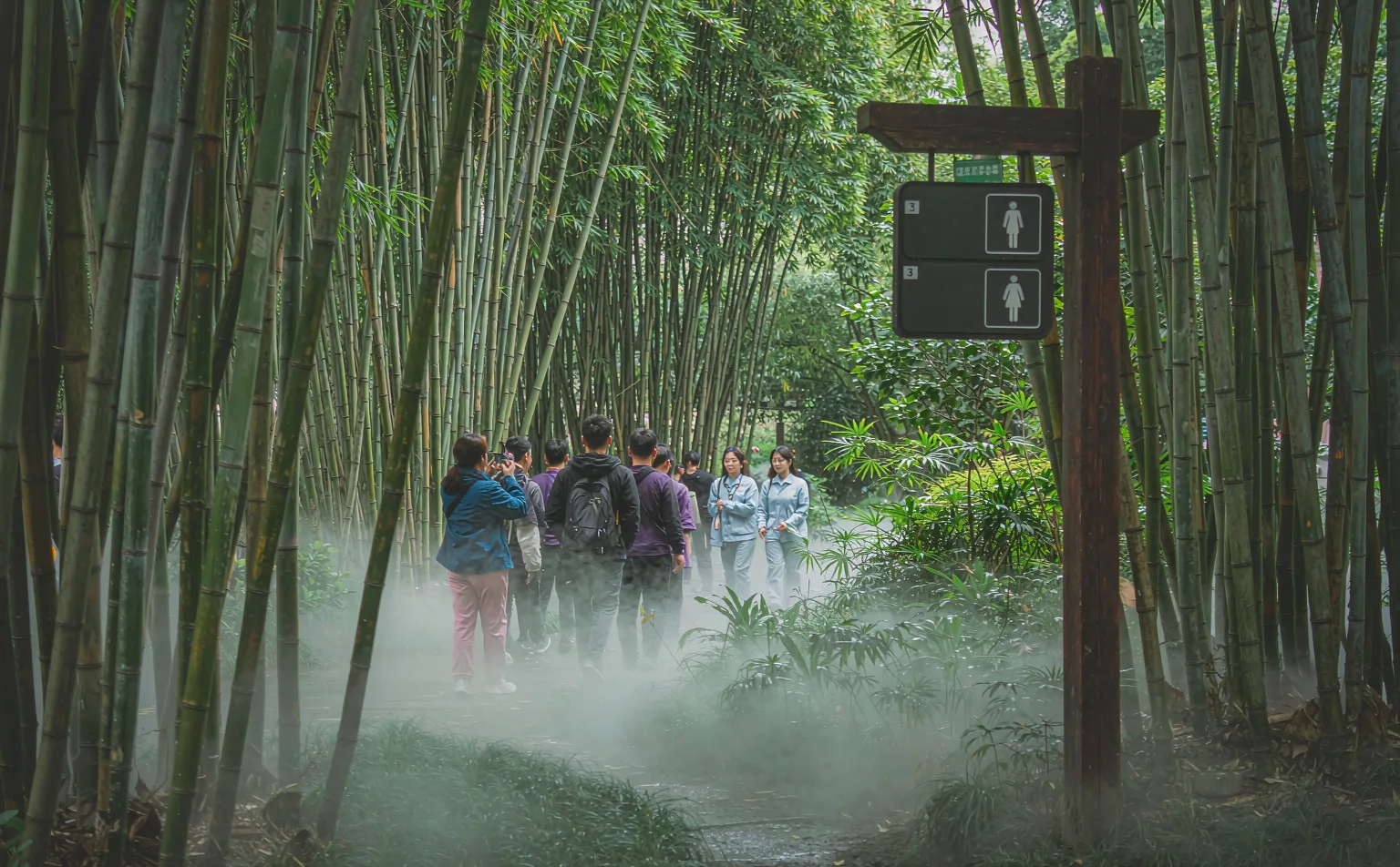 Visitors walking along the bamboo-lined path inside Chengdu Panda Base