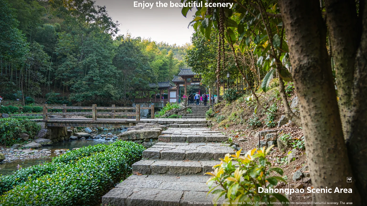 Stone path and bridge at the entrance trail of Dahongpao Scenic Area, Wuyishan