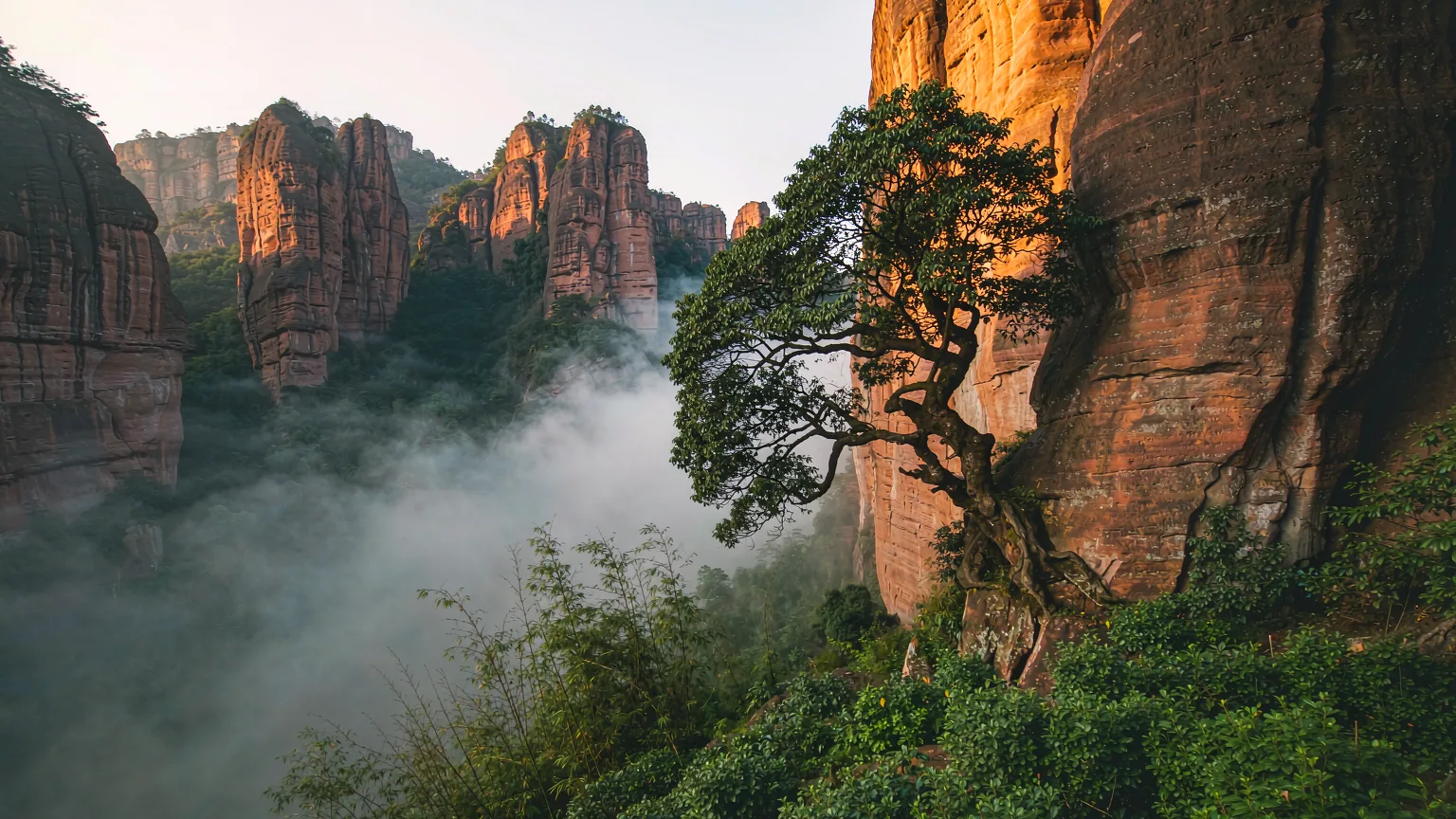 Dahongpao Scenic Area