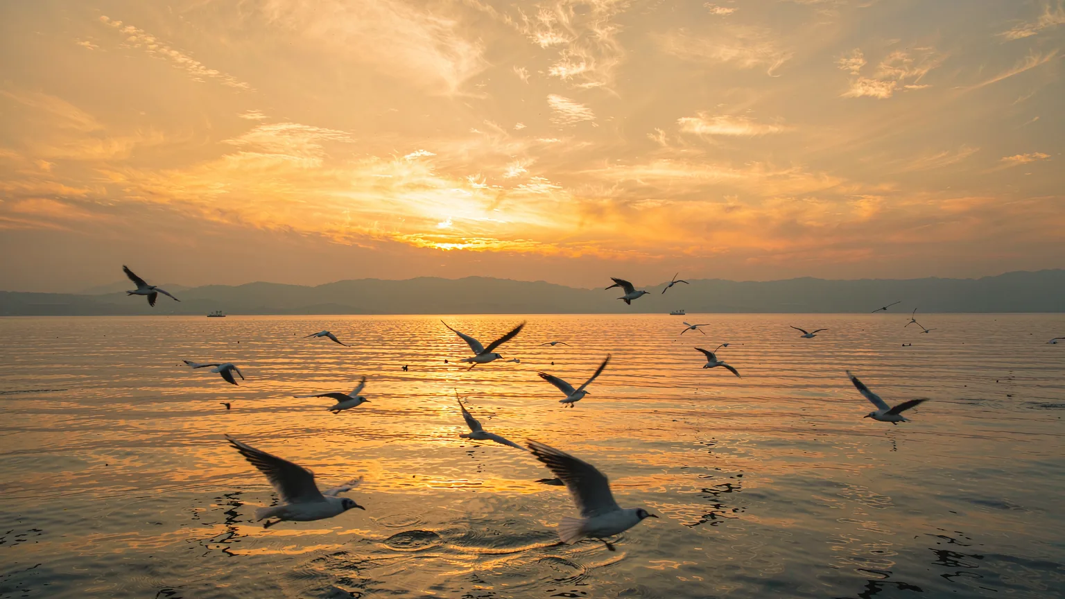 Dianchi Lake