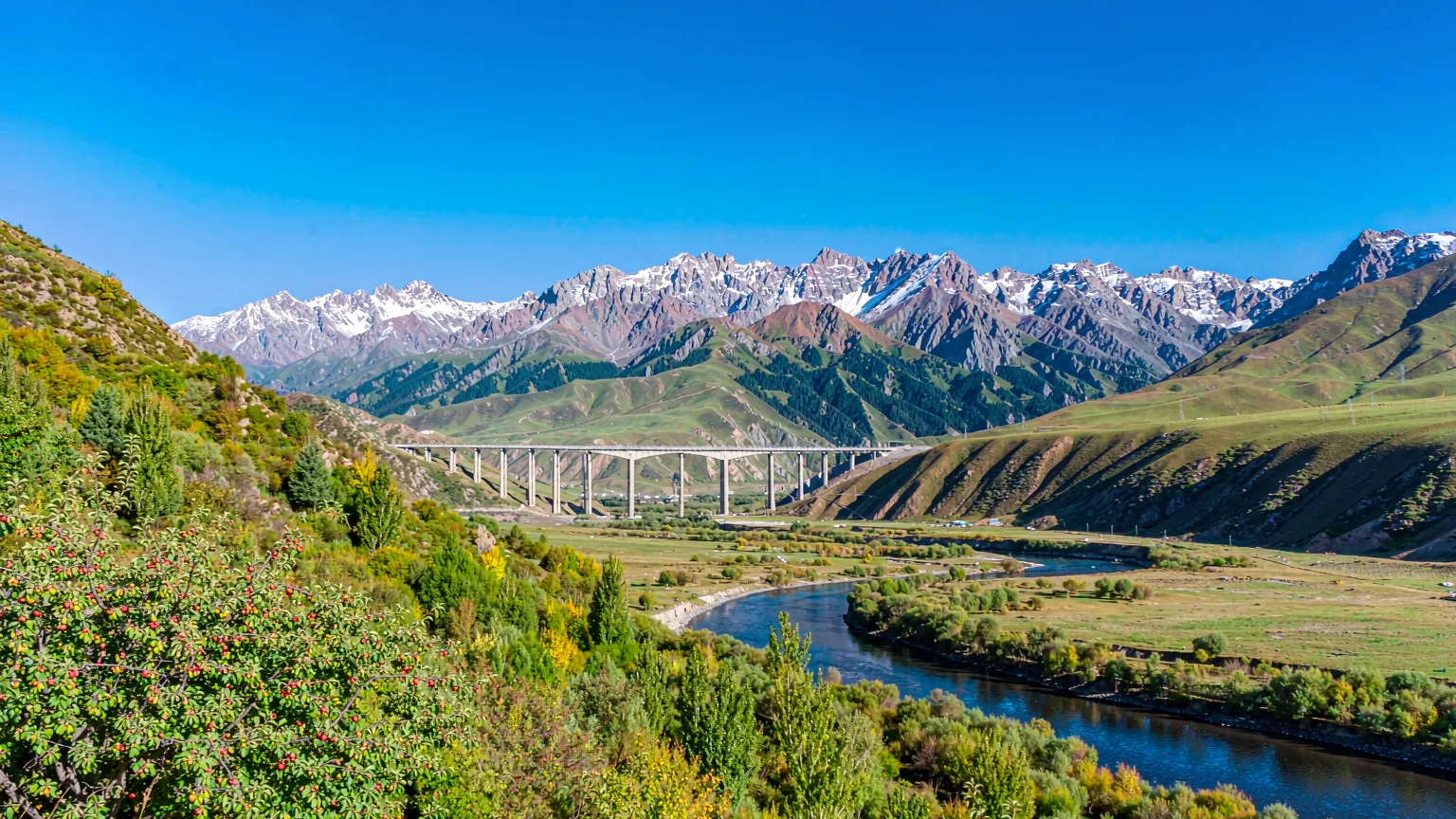 Guozigou Valley's lush forested slopes and bridge under a clear sky