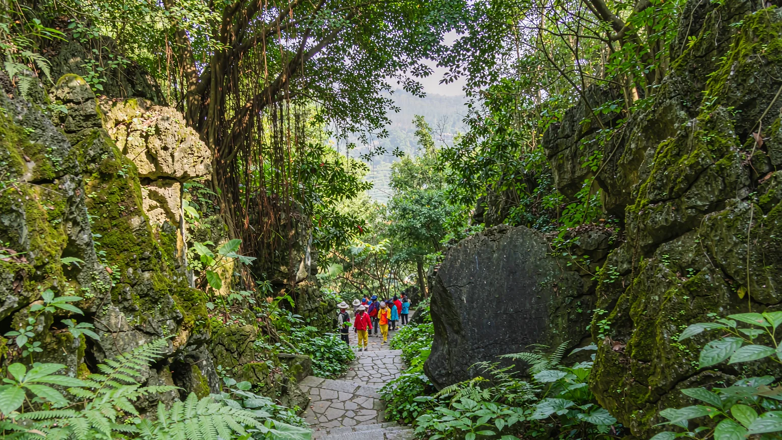 Stone stairway descending into lush crater interior with guide and travelers