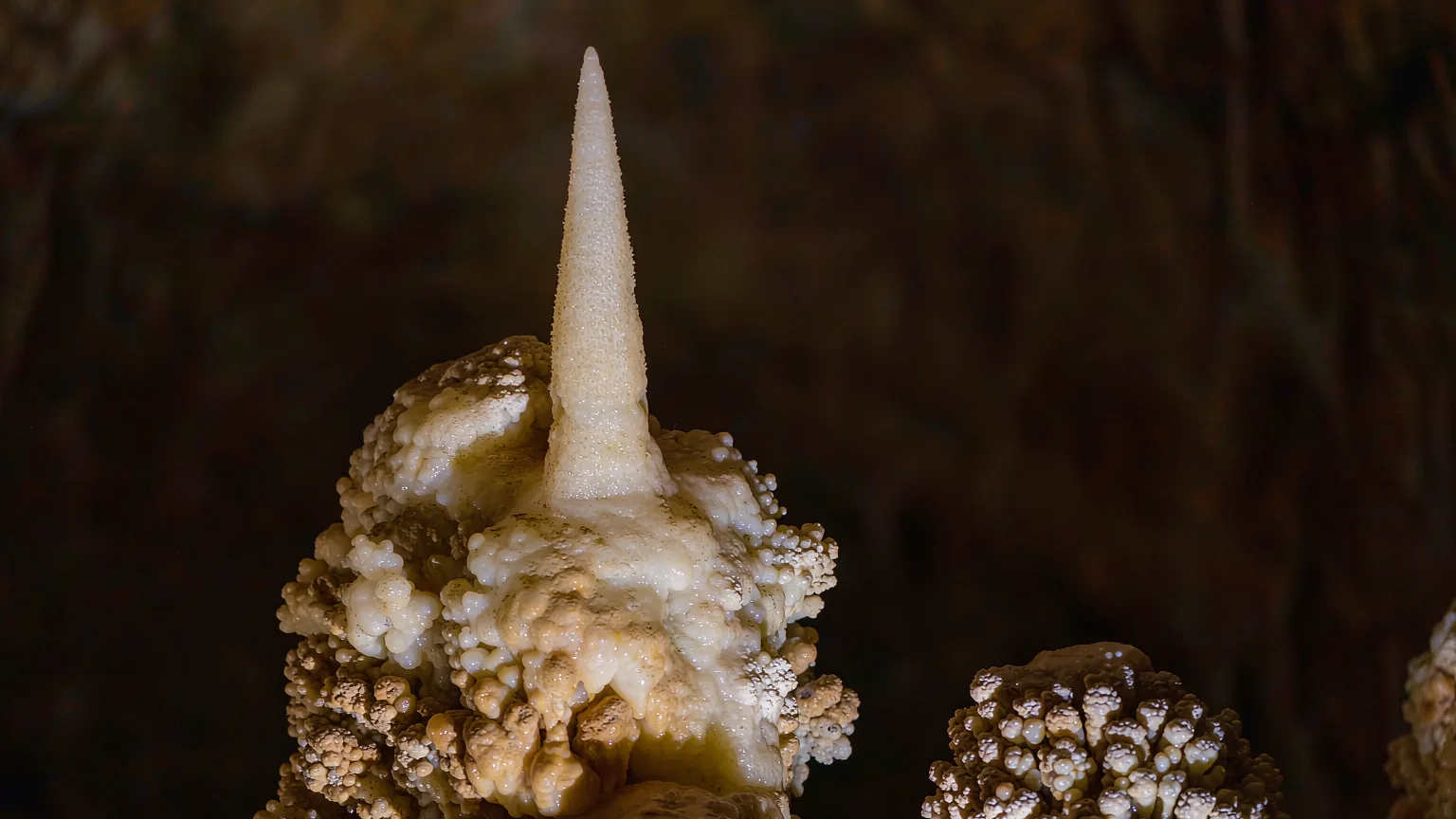 Close-up of a delicate stalactite formation in Huanglong Cave