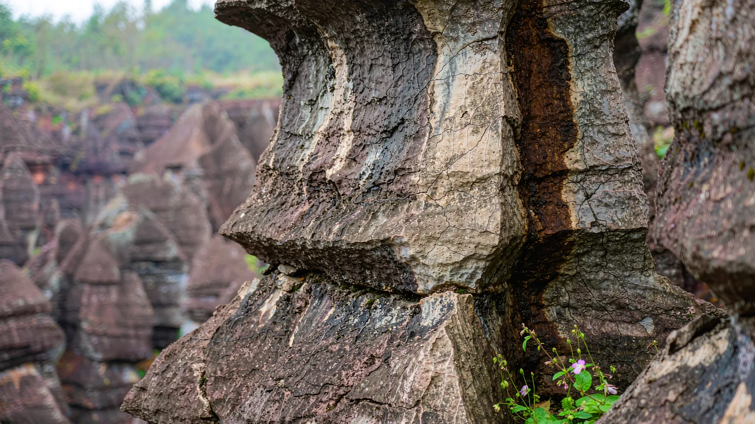 Close-up of a weathered rock pillar in Jinjiang Grand Canyon with wildflowers