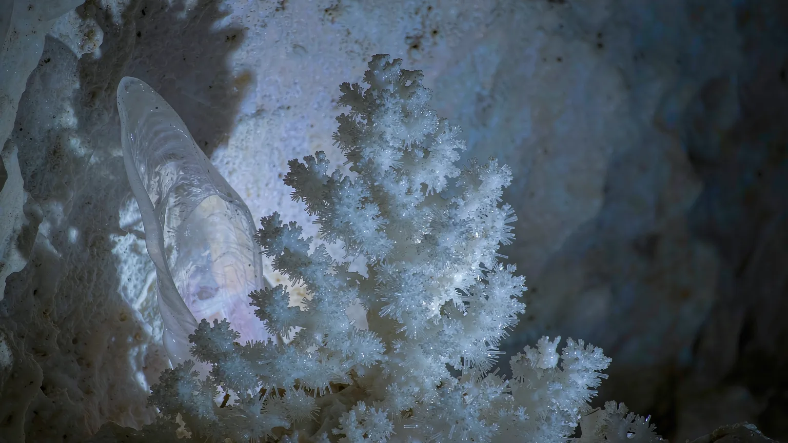 Close-up of delicate calcite formations in Jiutian Cave