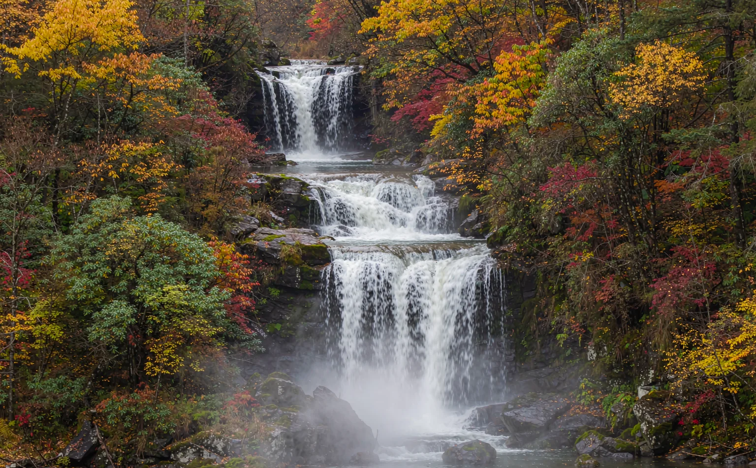 Multi-tiered waterfall pouring through autumn forest in Jiuzhaigou