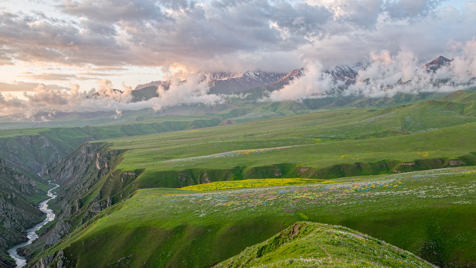 Kalajun Grassland