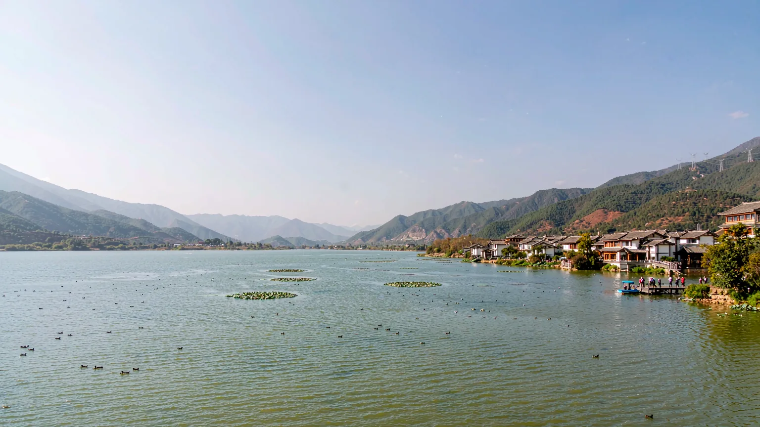 Panoramic view of Lashi Lake wetland with birds and Naxi villages