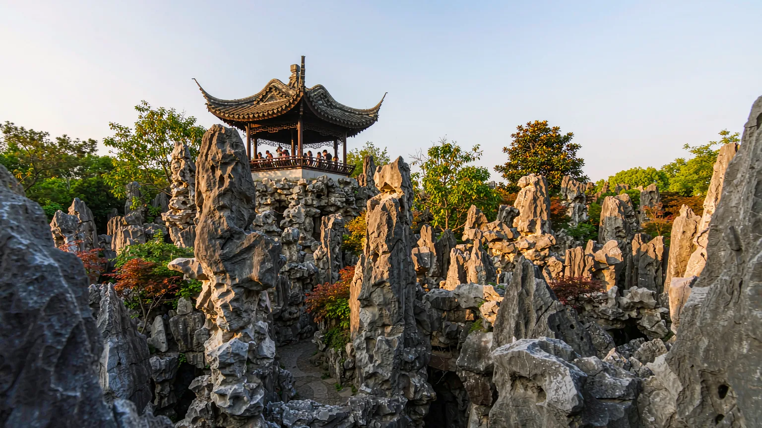 Lion Grove Garden