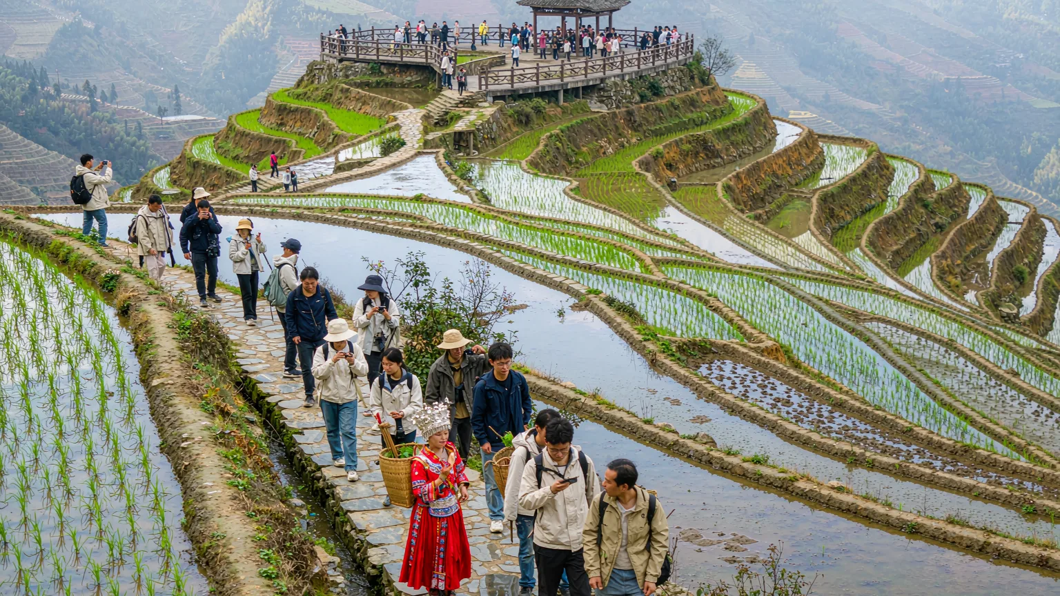 Tourists walking on paths between Longji Rice Terraces with local Yao woman