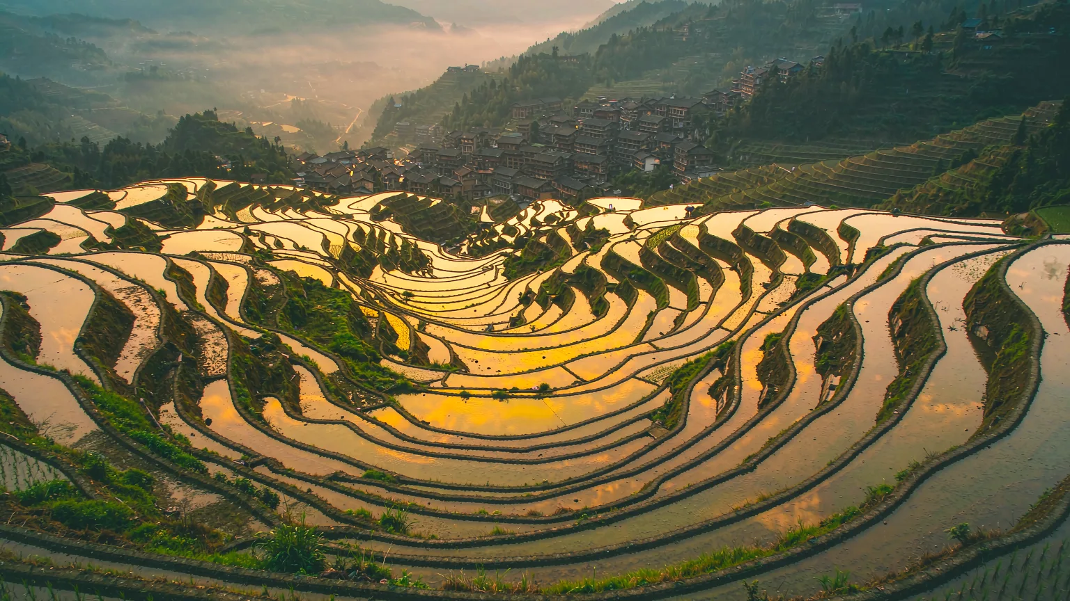 Longji Rice Terraces