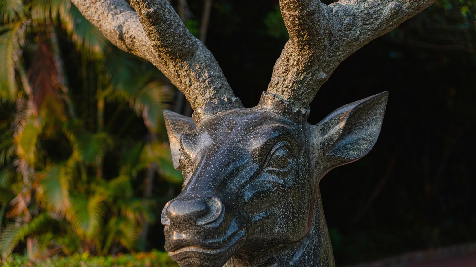 Detailed close-up of the stone deer's head at Luhuitou Park