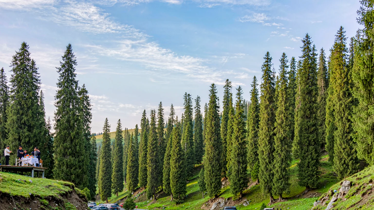 Scenic road winding through Lulang Forest Sea with vehicle and guide