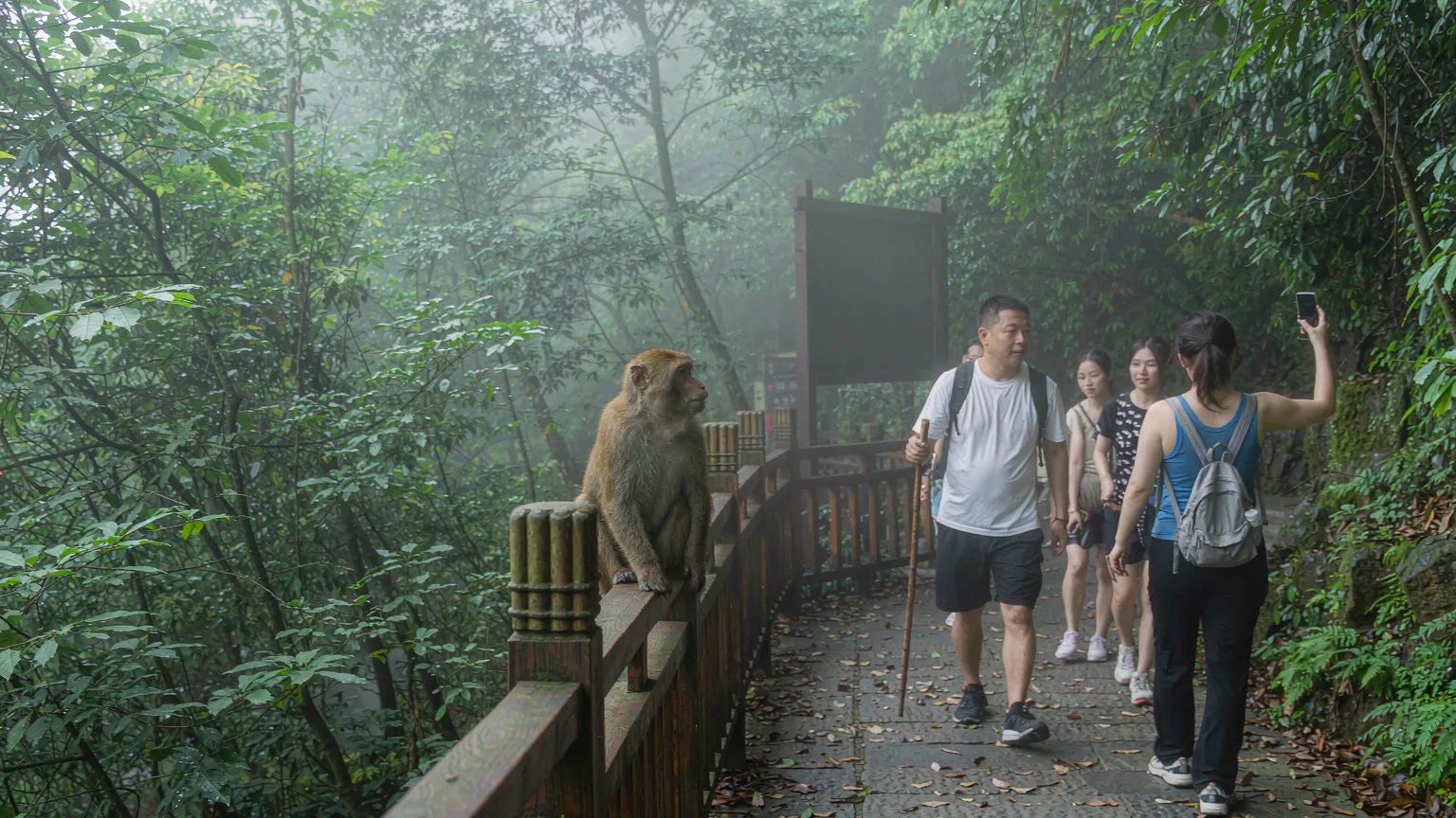 Hikers with guide approaching Mount Emei Monkey Area trail entrance
