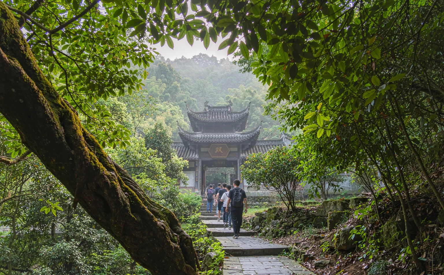 Misty forest trail with an ancient Taoist temple gate on Mount Qingcheng