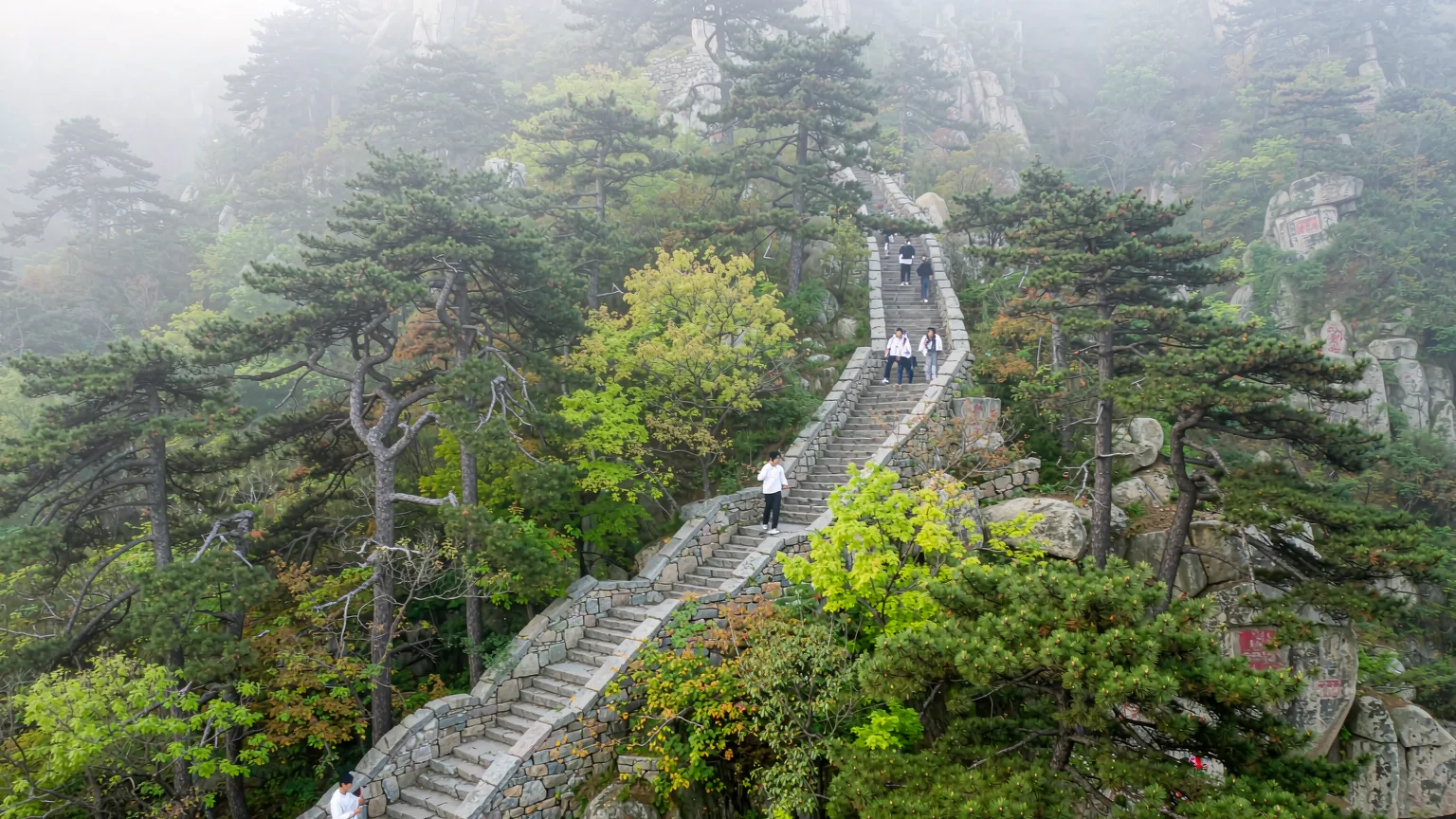 Ancient stone steps winding through pine forest on Mount Tai