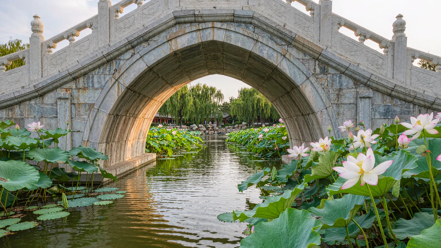 Close-up of stone bridge and lotus flowers in Nanhu Park