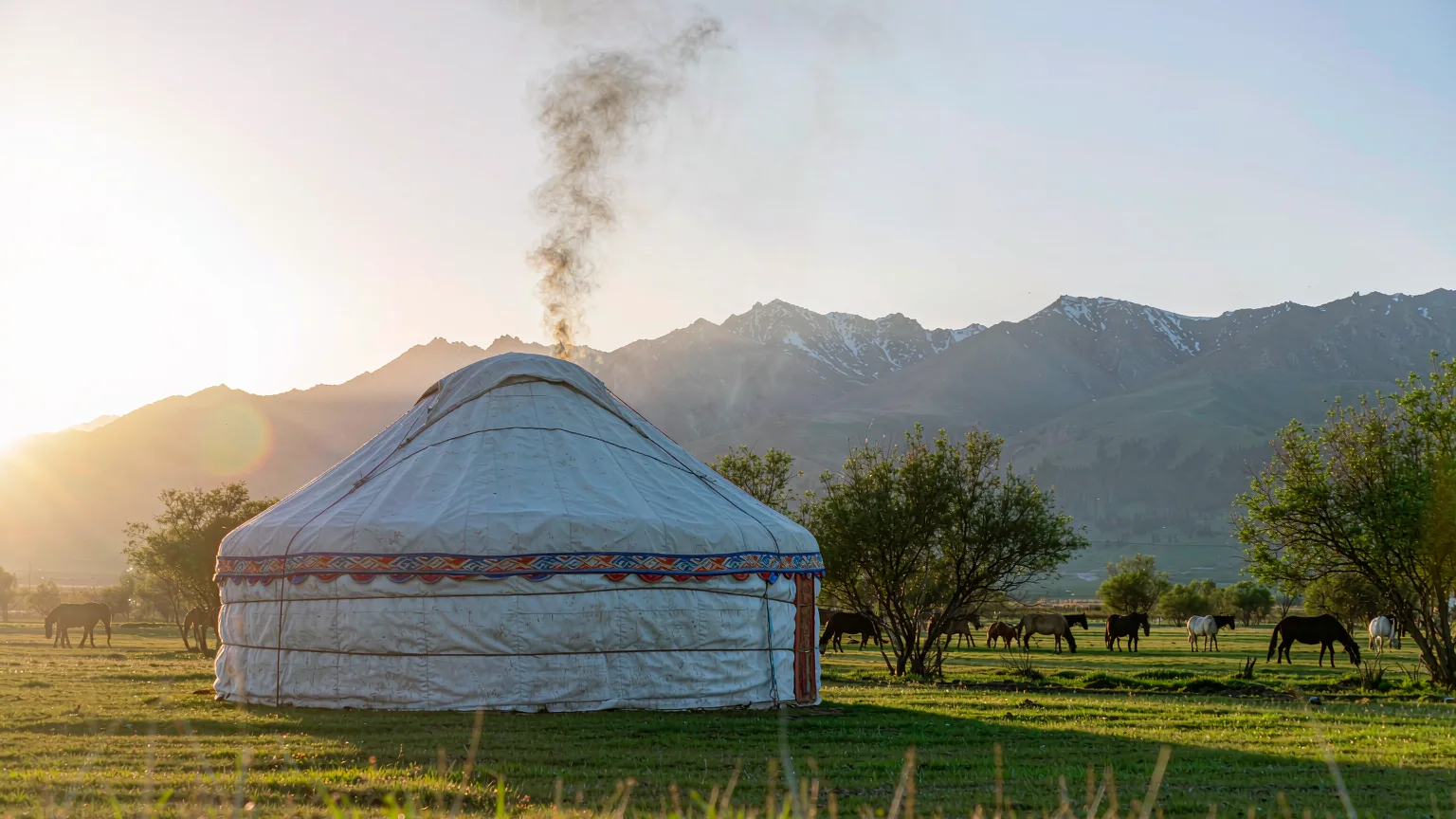 White Kazakh yurt on alpine meadow at Nanshan Pasture with horses grazing