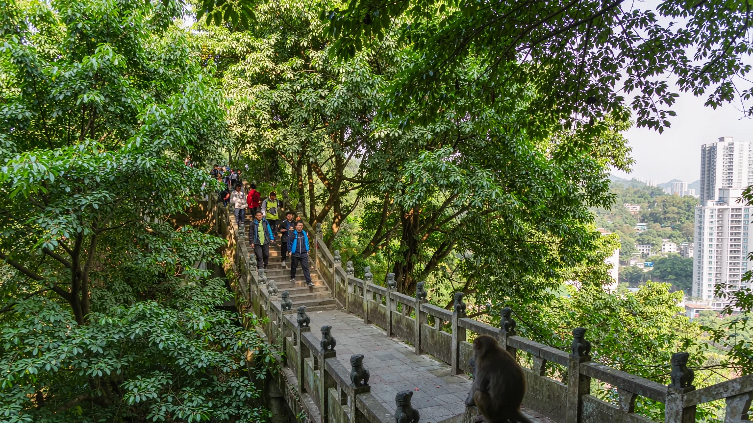 Hikers on a stone trail with a macaque in Qianling Mountain Park, Guiyang