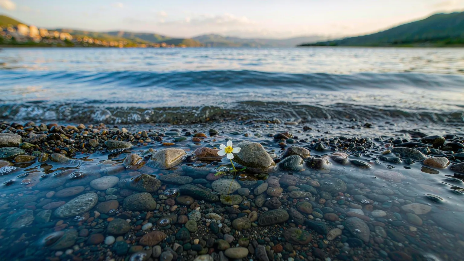 Close-up of clear water and pebbles at Sayram Lake shore