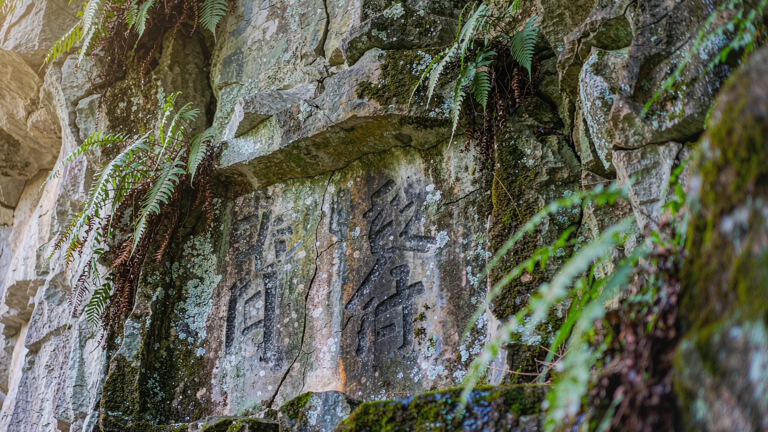 Ancient Tang Dynasty stone inscriptions carved into a mossy cliff in Seven Star Park