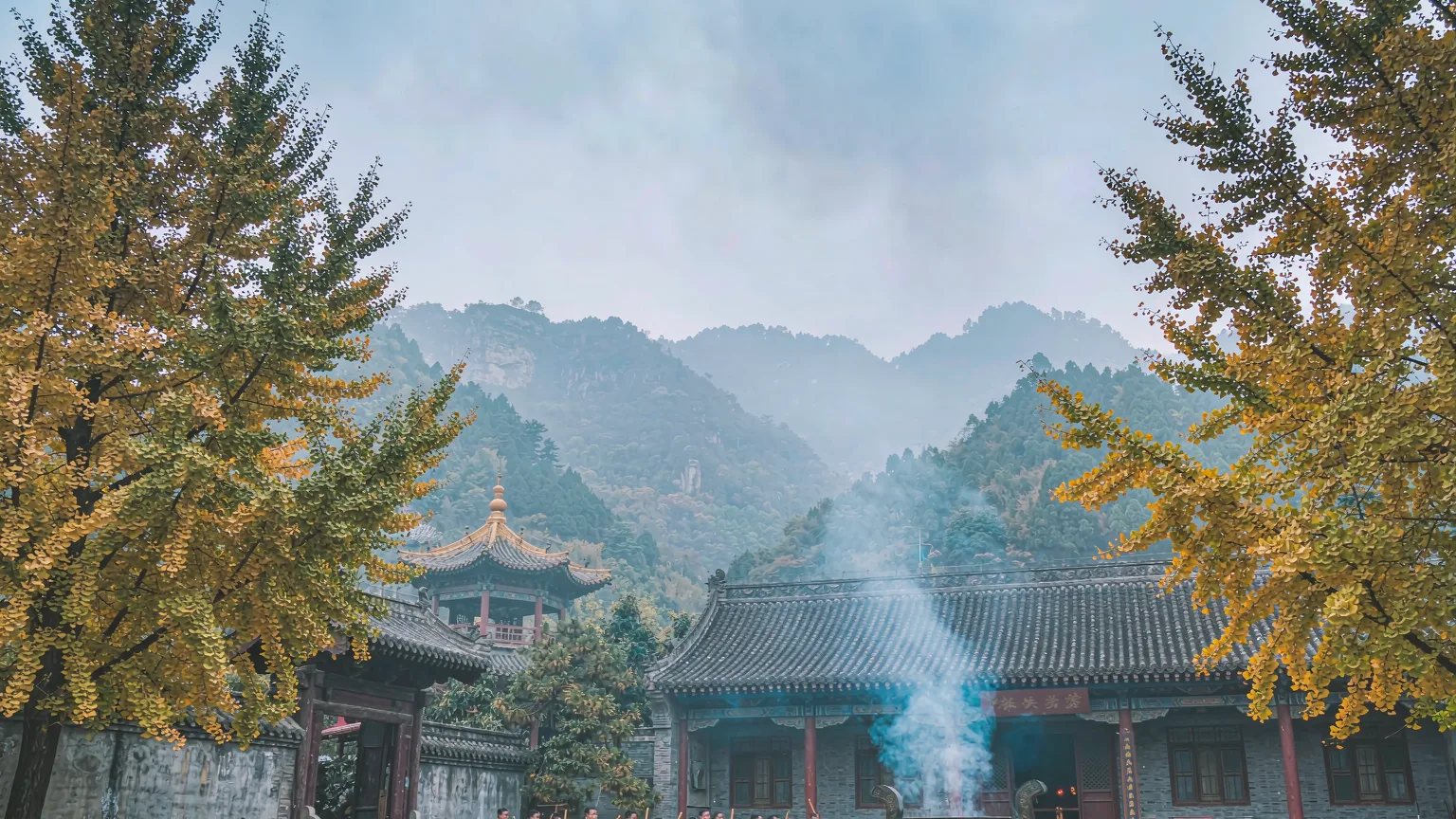 Monks practicing kung fu in Shaolin Temple courtyard with ginkgo trees