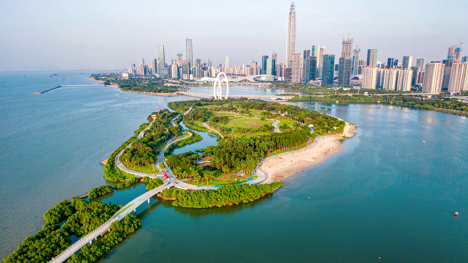 Aerial view of Shenzhen Bay Park's green coastal ribbon and mangrove wetlands
