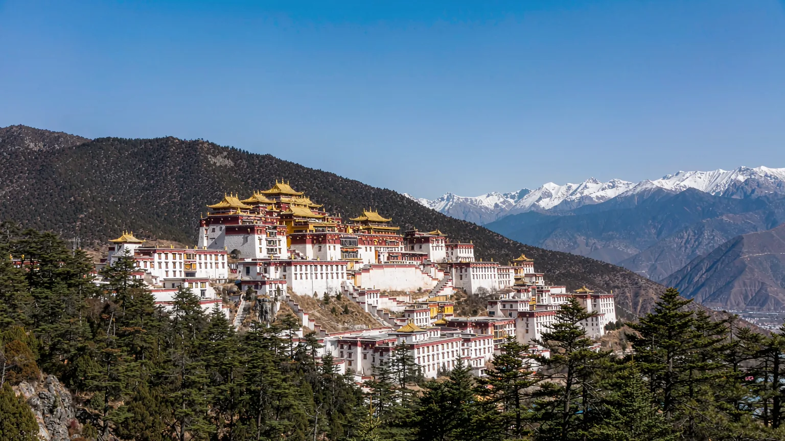 Panoramic view of Songzanlin Monastery's white walls and golden roofs on a hillside