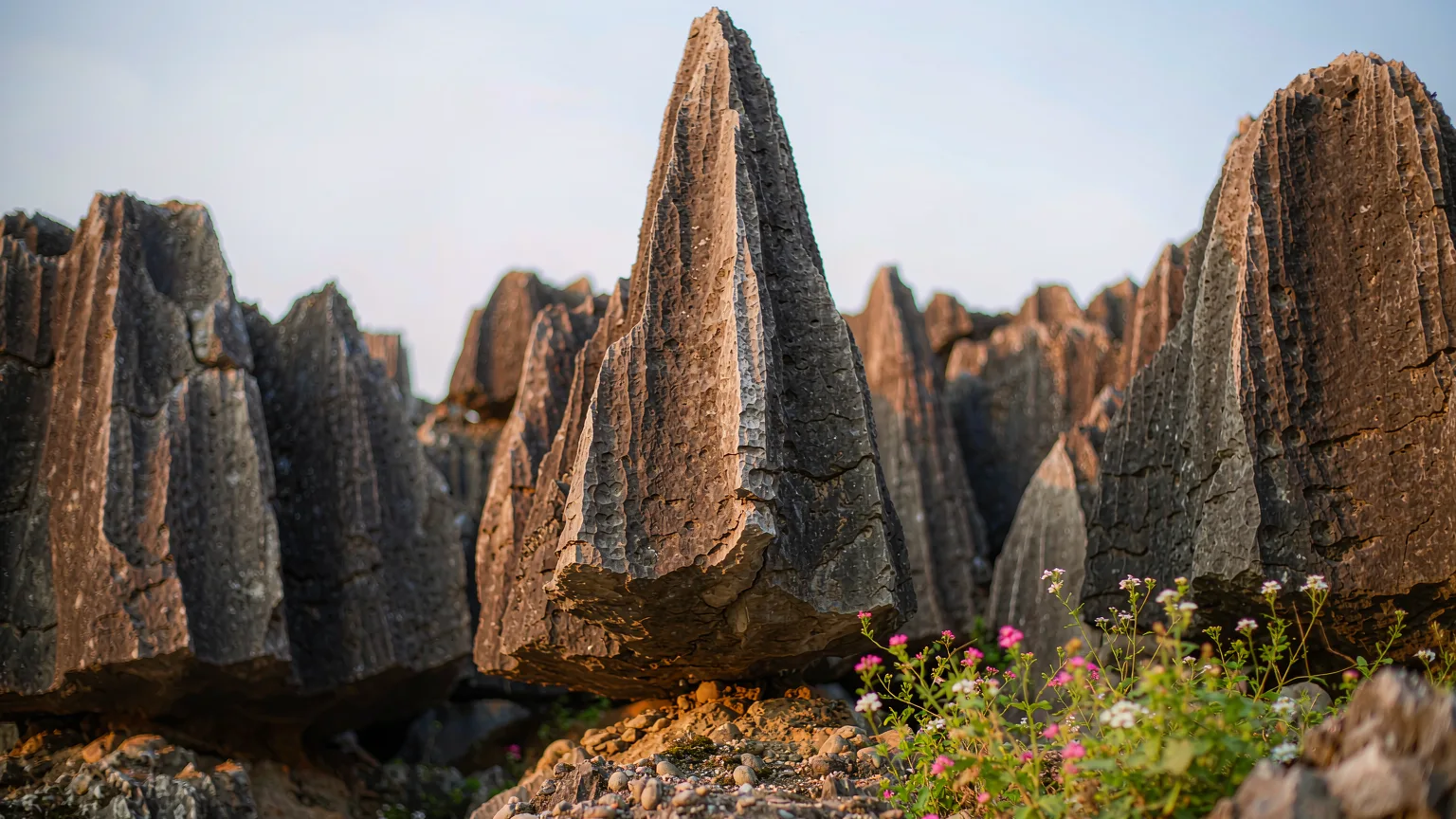 Close-up of the Ashima rock pinnacle in Shilin Stone Forest, Yunnan