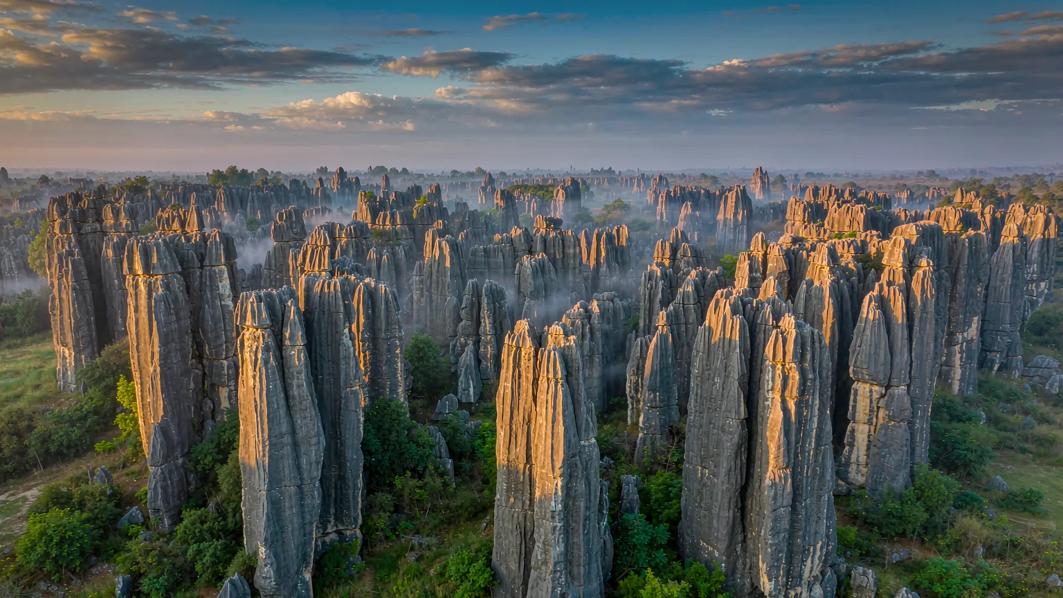 Stone Forest