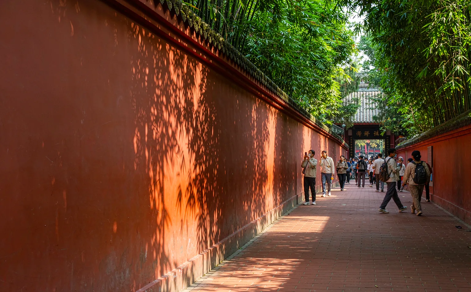 Bamboo shadows on the famous red wall path at Wuhou Shrine