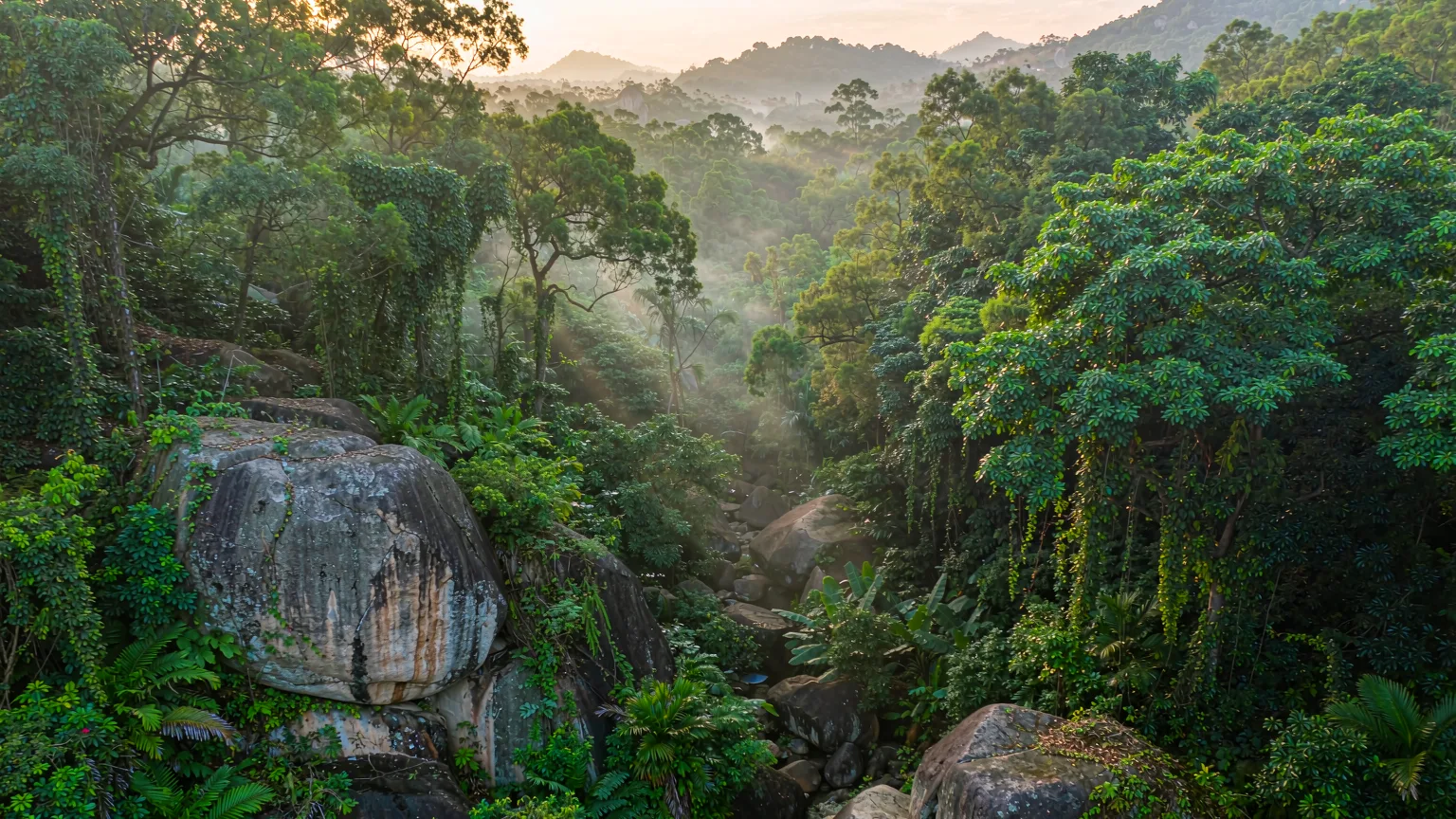 Xiamen Botanical Garden (Wanshi Mountain)