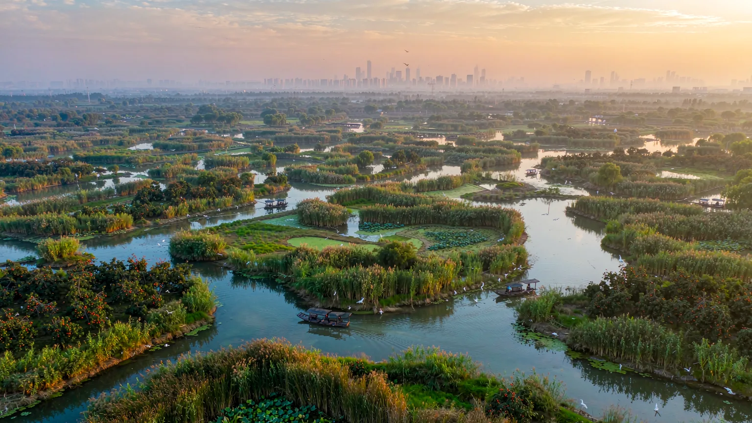 Xixi National Wetland Park