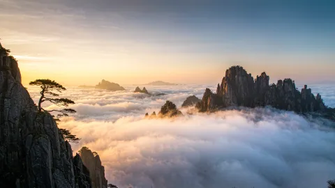 Huangshan City Essence: Tunxi Old Street & Huizhou Culture Day Tour