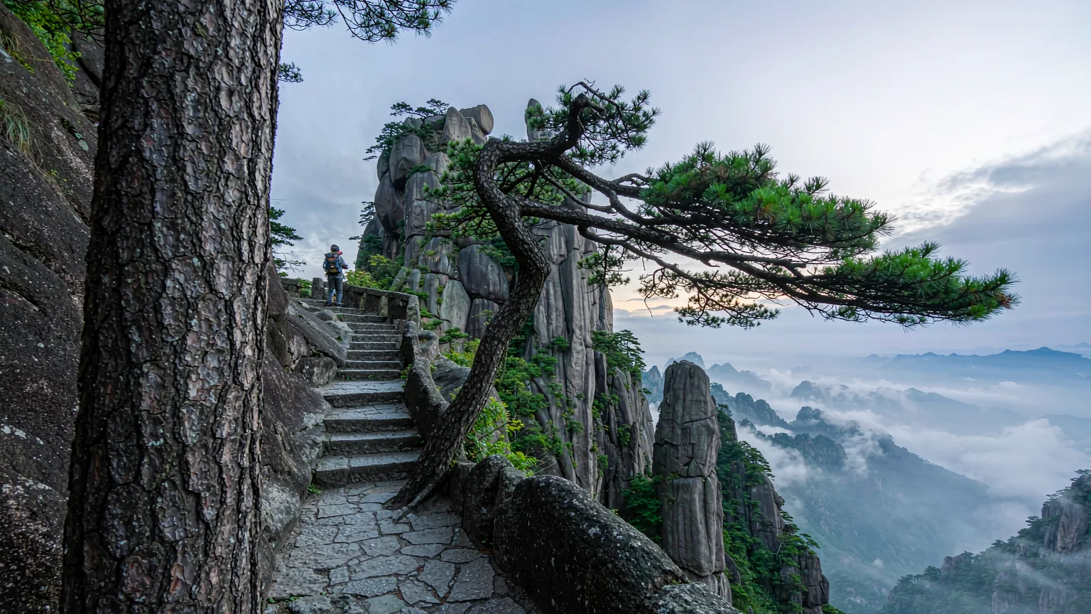 Tour di un giorno ai villaggi antichi di Hongcun e Xidi da Huangshan