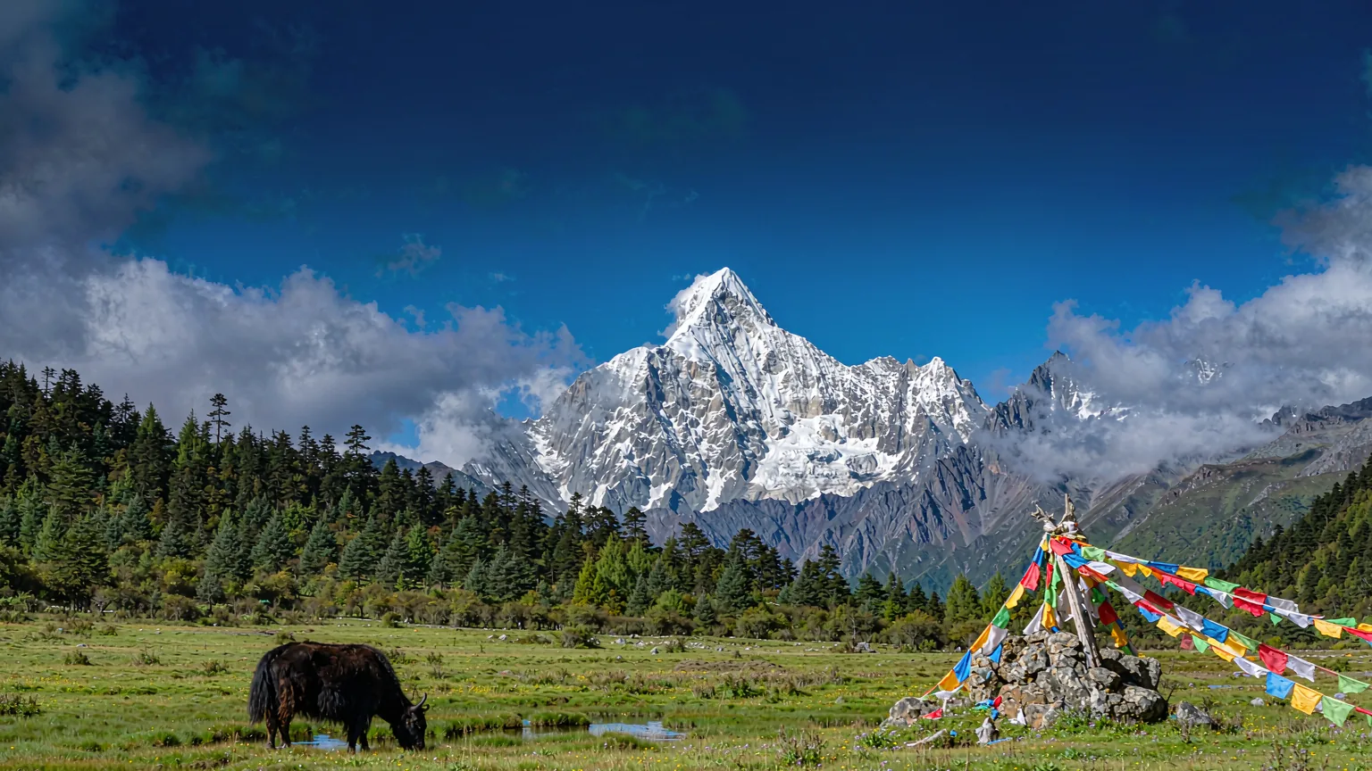 Jade Dragon Snow Mountain Half-Day Tour with Glacier Park & Blue Moon Valley