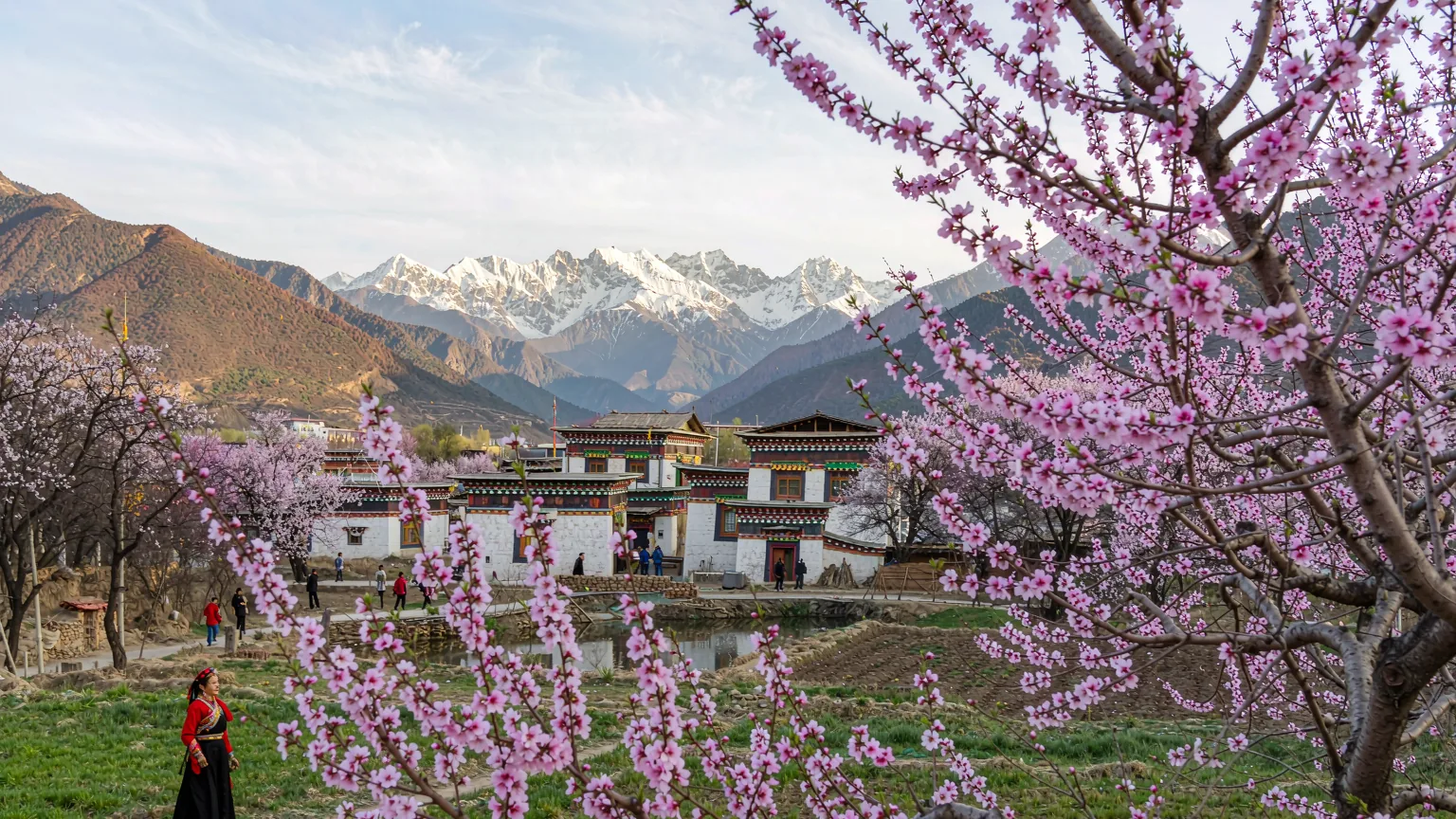 Nyingchi nelle vicinanze, classico: Gola dello Yarlung Tsangpo e Namcha Barwa, tour privato di un giorno