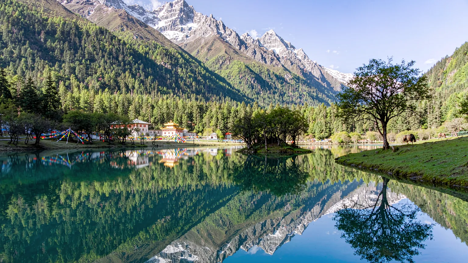 Tour di mezza giornata al Namcha Barwa e al Grande Canyon dello Yarlung Tsangpo