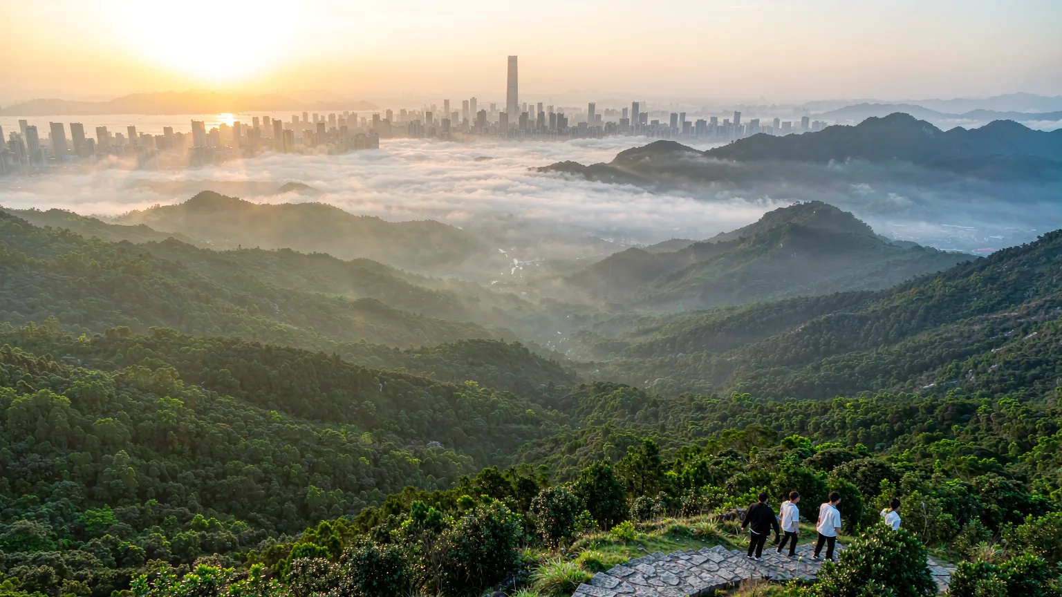 Dapeng Fortress & Ancient Shenzhen Half-Day Private Tour