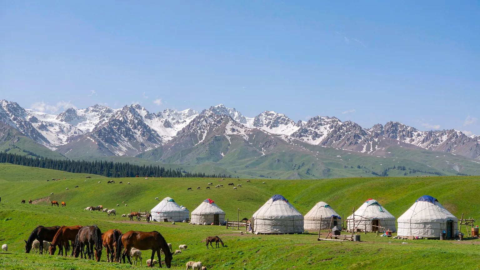 Xinjiang Museum Half-Day Tour: Silk Road Treasures & Living Culture