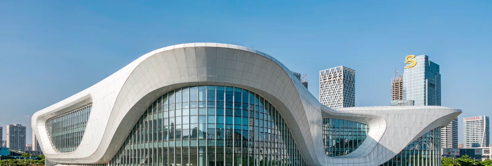 The University of Hong Kong-Shenzhen Hospital