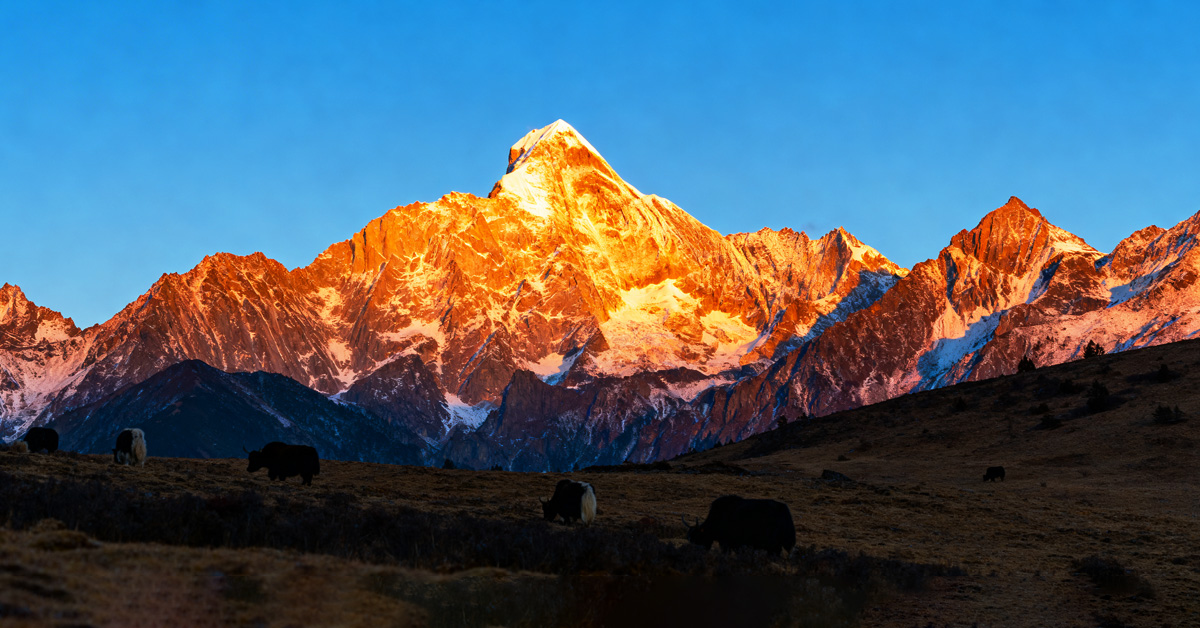 四姑娘山