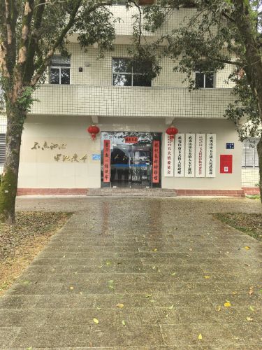 Wufu Town