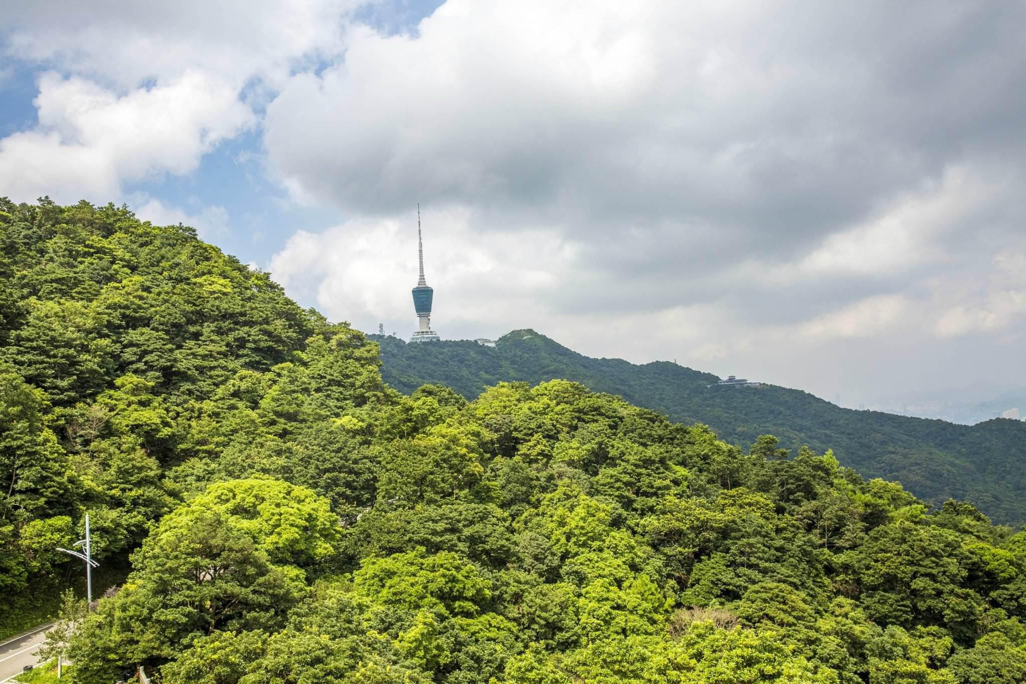 Wutong Mountain