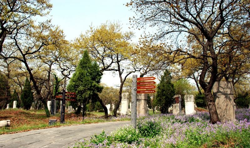 Han-Wei Stele Exhibition Hall