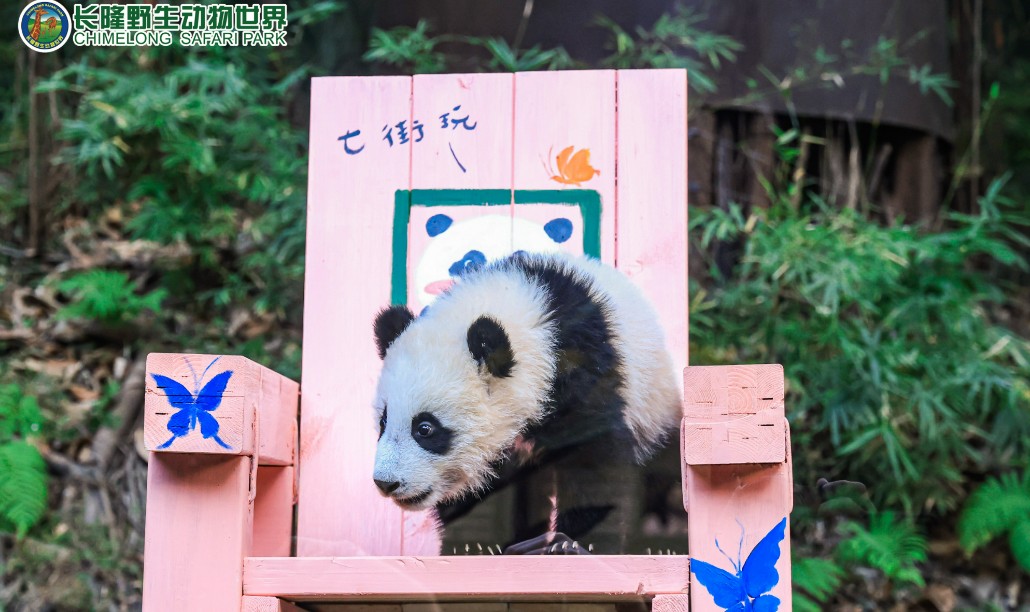 Chimelong Safari Park