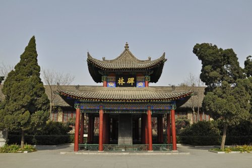 Stele Forest Museum