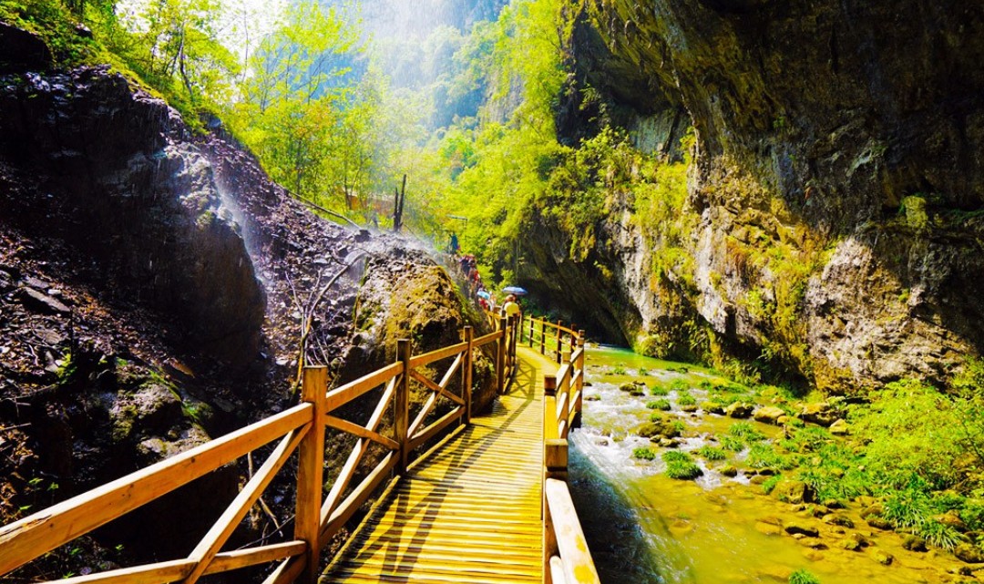 جسر زجاجي في وادي Zhangjiajie الكبير